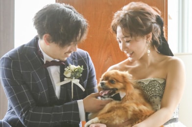 WITH ANIMALS